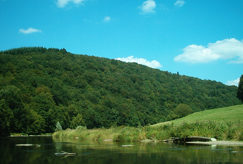 ardennen, belgische ardennen
