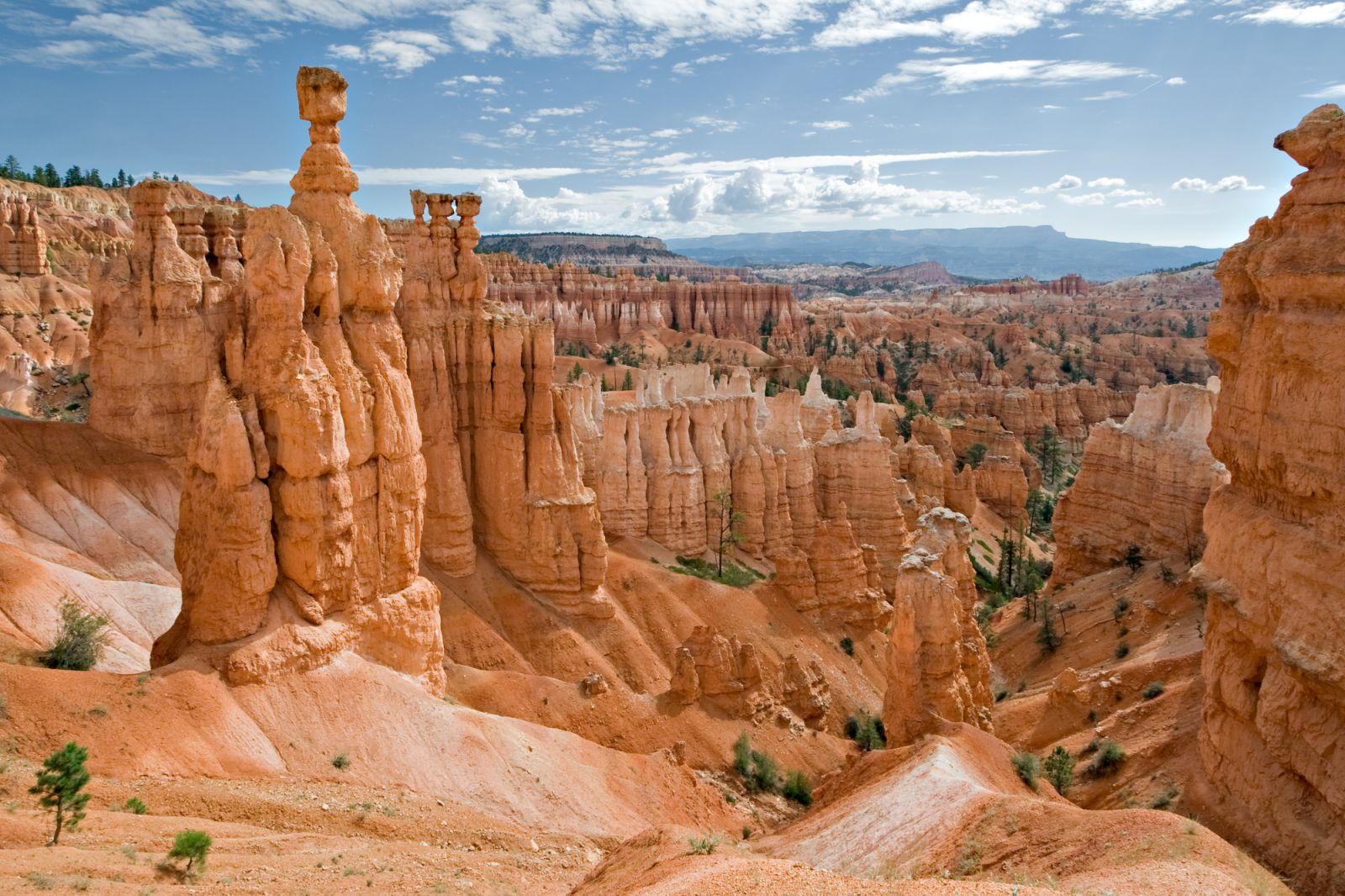 bryce canyon, west amerika, wild west, wild west amerika, highlights amerika, highlights west amerika, rondreis amerika, 