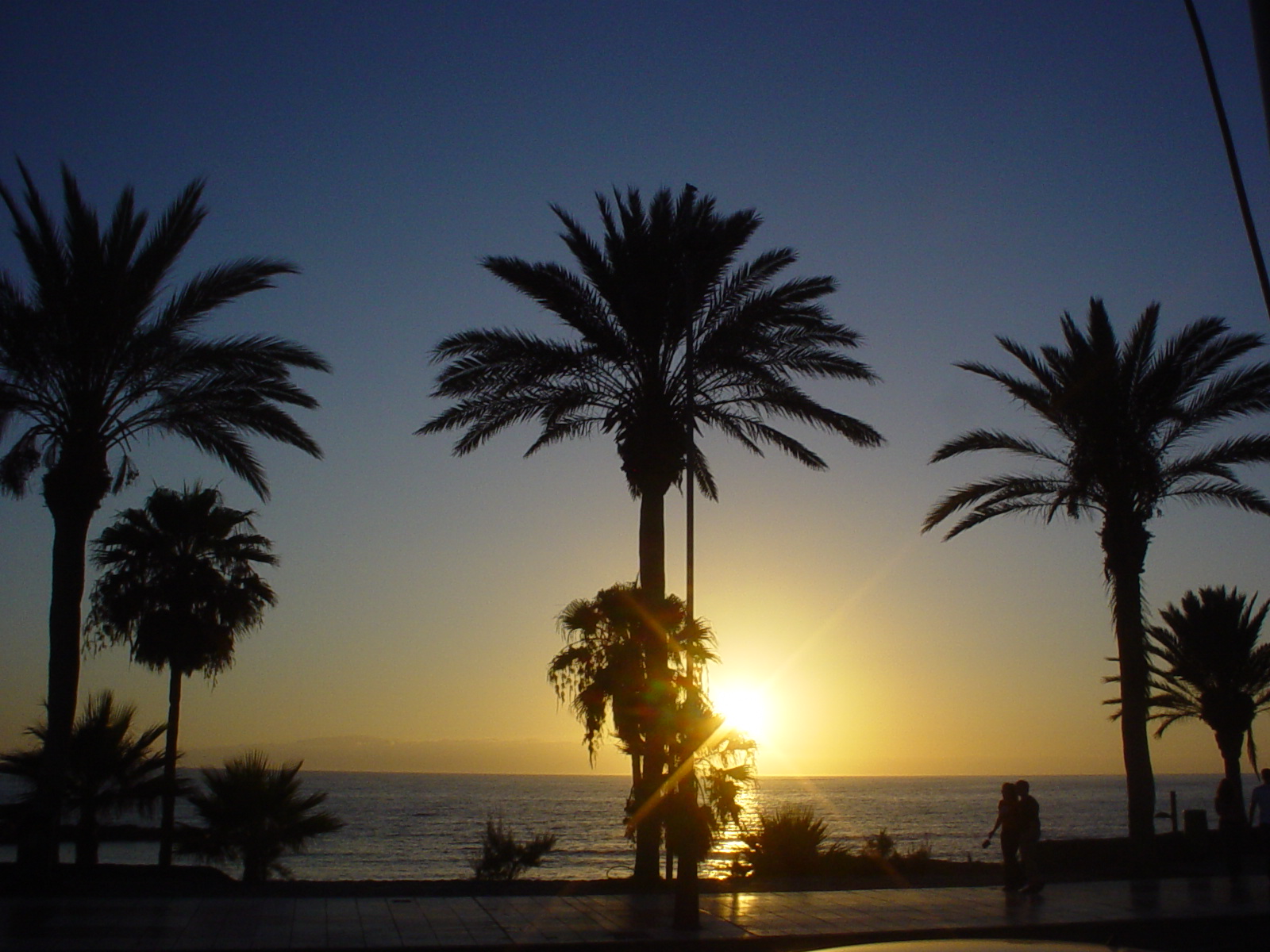 playa de las americas, tenerife, spanje