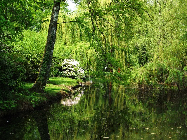 taman negara, rondreis maleisie, maleisie rondreizen, kleurrijk maleisie, hoogtepunten maleisie, bezienswaardigheden maleisie, highlights maleisie, taman negara maleisie